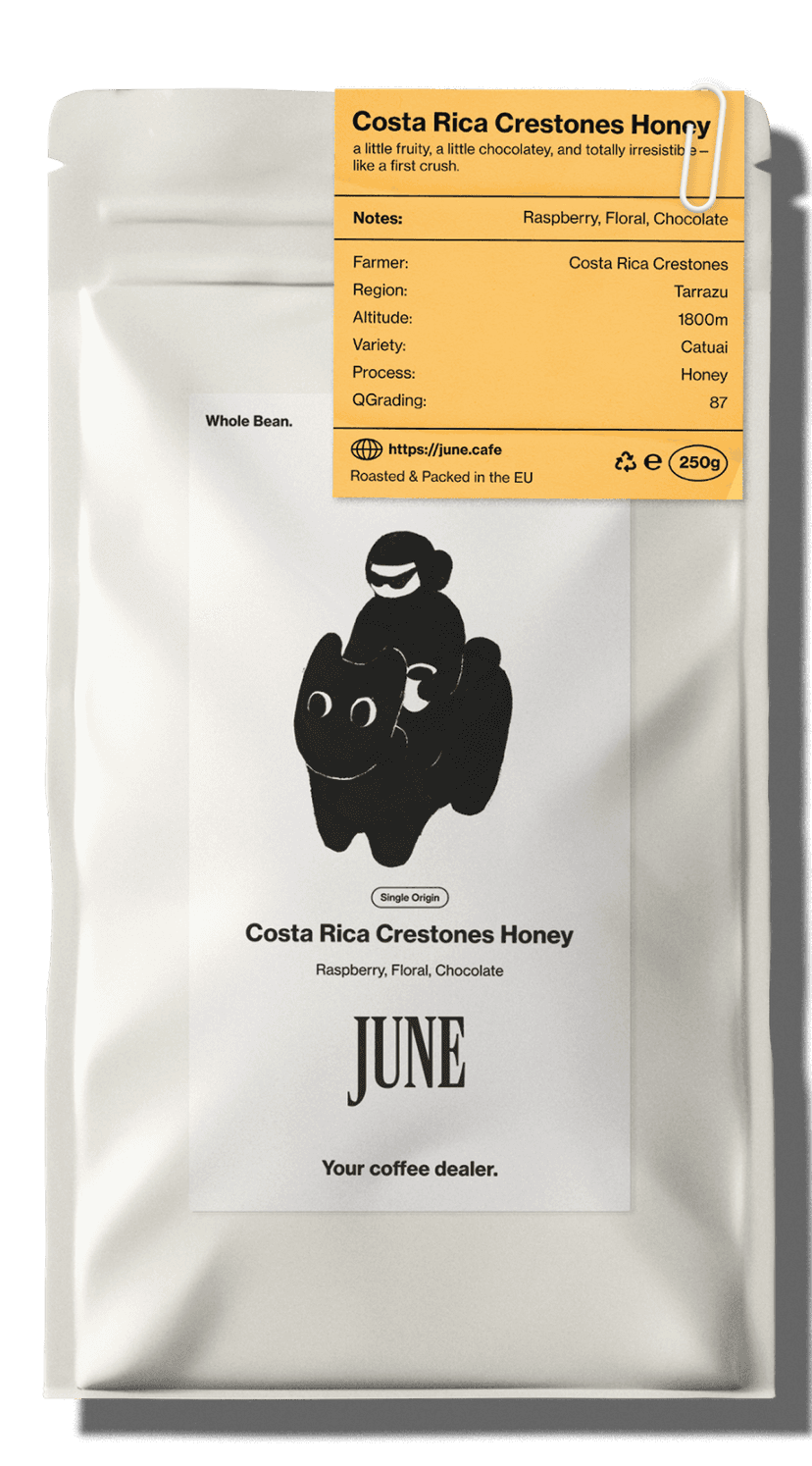 Coffee Beans