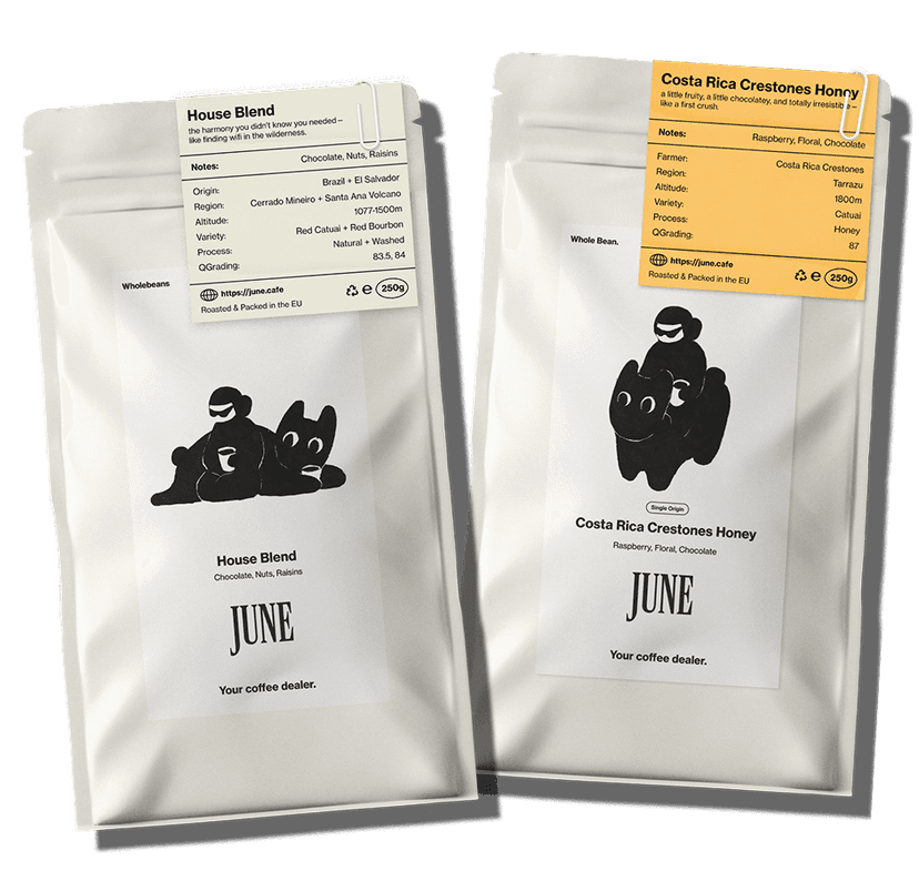 Taster Pack
