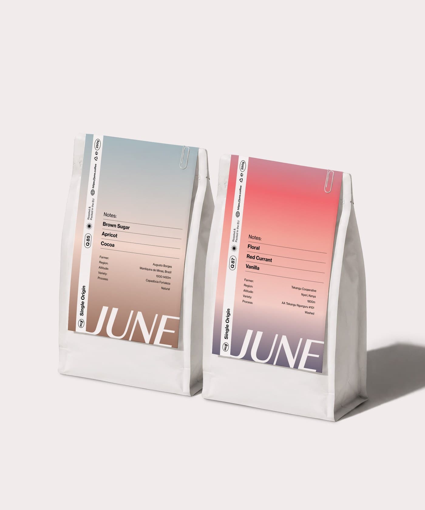 Taster Pack